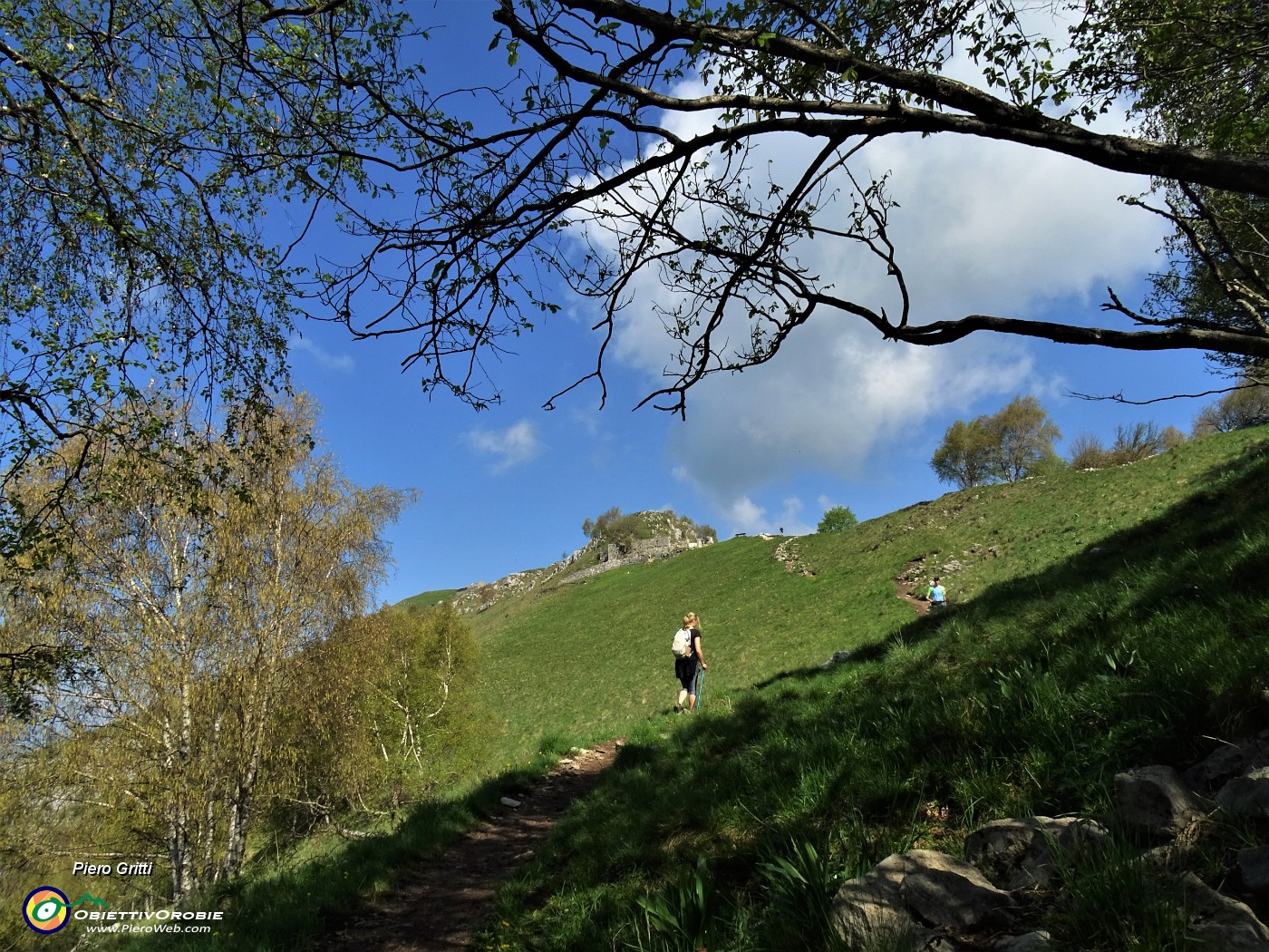 21 In decisa salita fuori dal bosco.JPG
